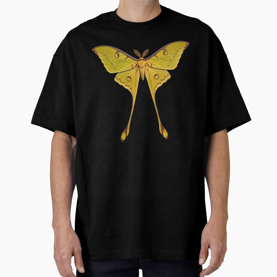 Comet Moth Argema mittrei Realistic Style by Harpagann