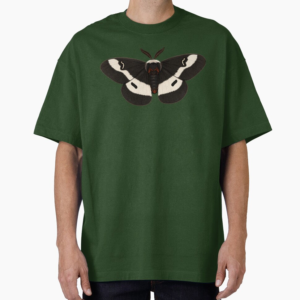 Buck Moth Hemileuca Maia Moth Cartoon Style by Harpagann