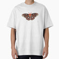cecropia moth by cascinas