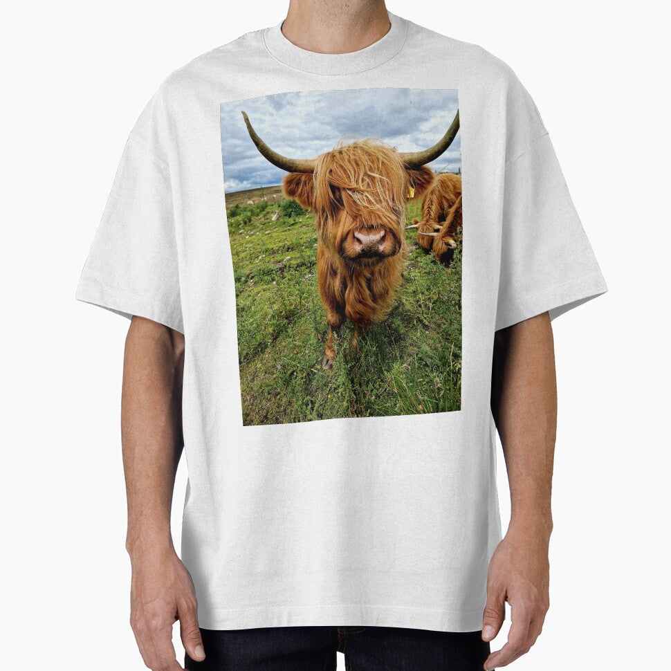 Highland Cow #2 by Pix-Perfect Photographs