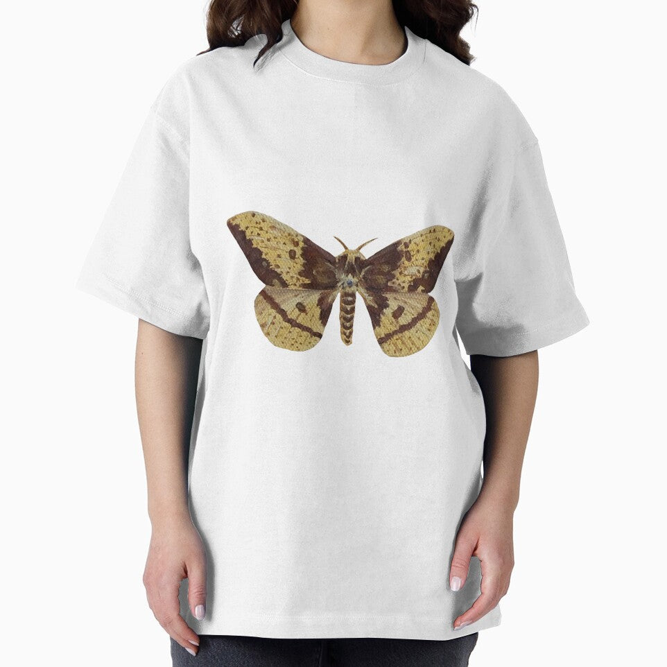imperial silk moth by kaitlynyaru.art
